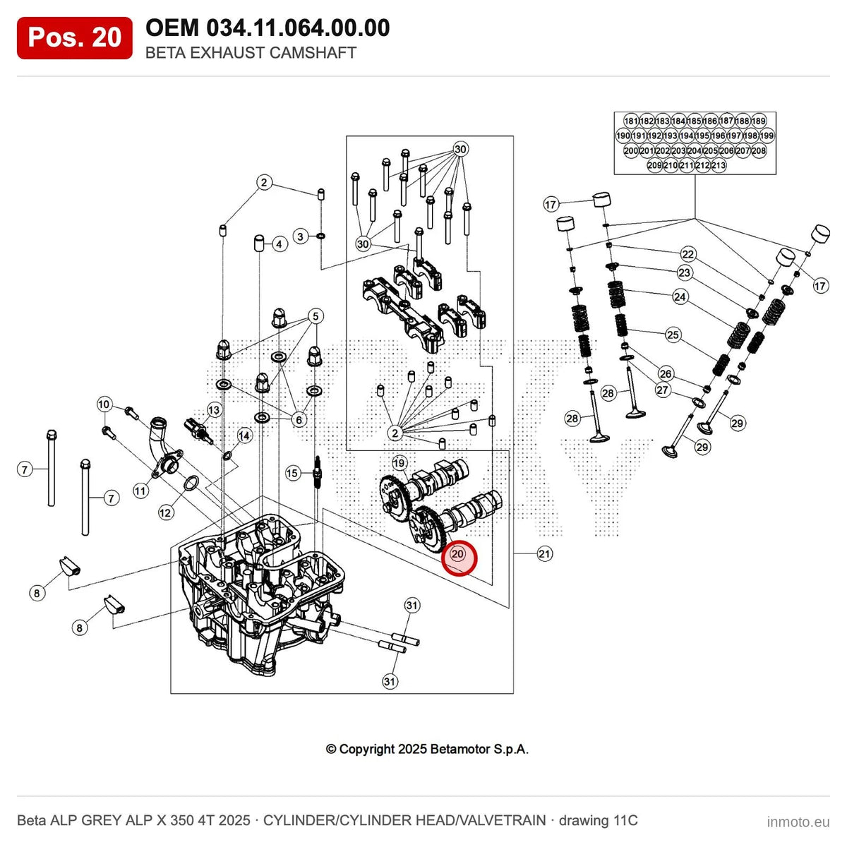 BETA EXHAUST CAMSHAFT – OEM 034.11.064.00.00, position 20 on the Beta ALP GREY ALP X 350 4T 2025 cylinder/cylinder head/valvetrain drawing