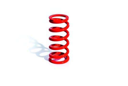 BETA SHOCK ABSORBER K=8 SPRING EVO2T/4T