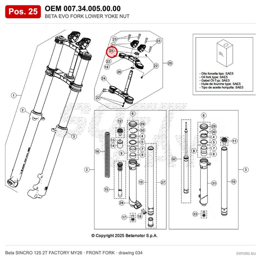 BETA EVO FORK LOWER YOKE NUT – OEM 007.34.005.00.00, position 25 on the Beta SINCRO 125 2T FACTORY MY26 front fork drawing