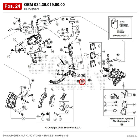 BETA BUSH – OEM 034.36.019.00.00, position 24 on the Beta ALP GREY ALP X 350 4T 2025 brakes drawing