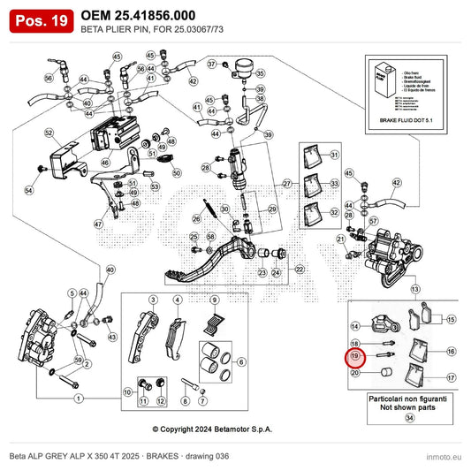 BETA PLIER PIN, FOR 25.03067/73 – OEM 25.41856.000, position 19 on the Beta ALP GREY ALP X 350 4T 2025 brakes drawing